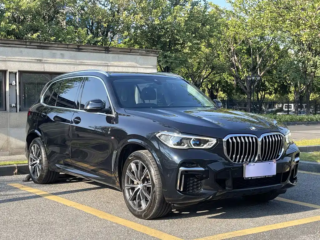 BMW X5 — фото 3