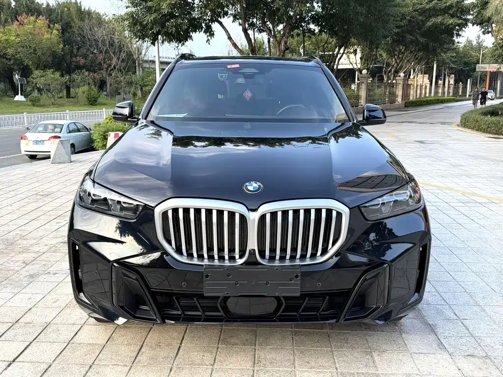 BMW X5 — фото 2