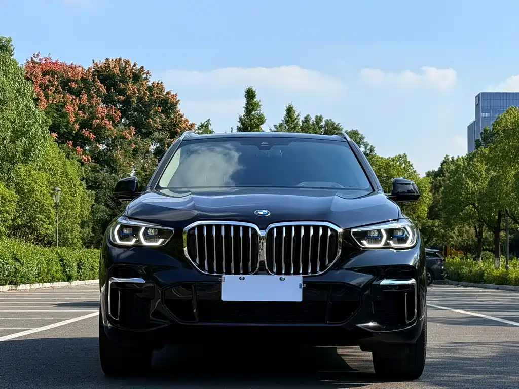 BMW X5 — фото 4