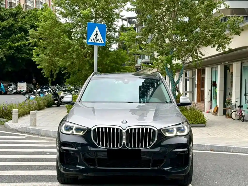 BMW X5 (Import) — фото 3