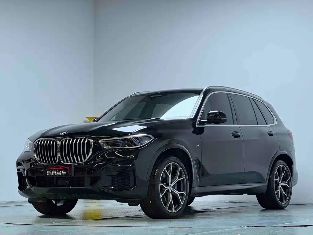 BMW X5 (Import) — фото 2
