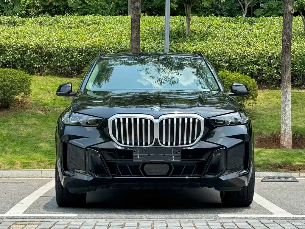 BMW X5 — фото 2