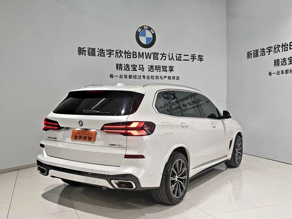 BMW X5 — фото 6