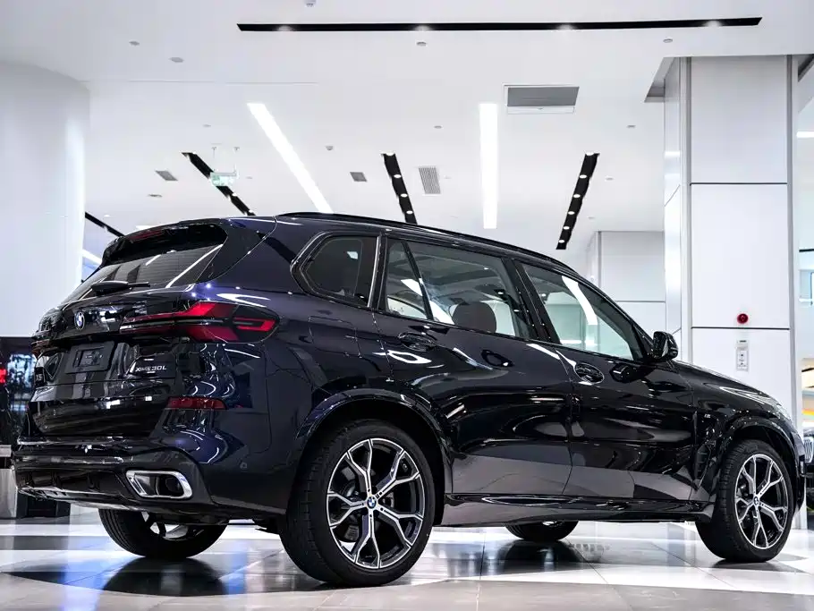 BMW X5 — фото 6