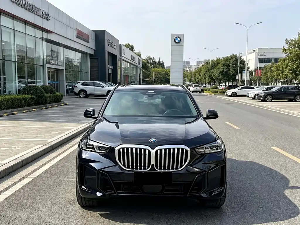 BMW X5 — фото 2