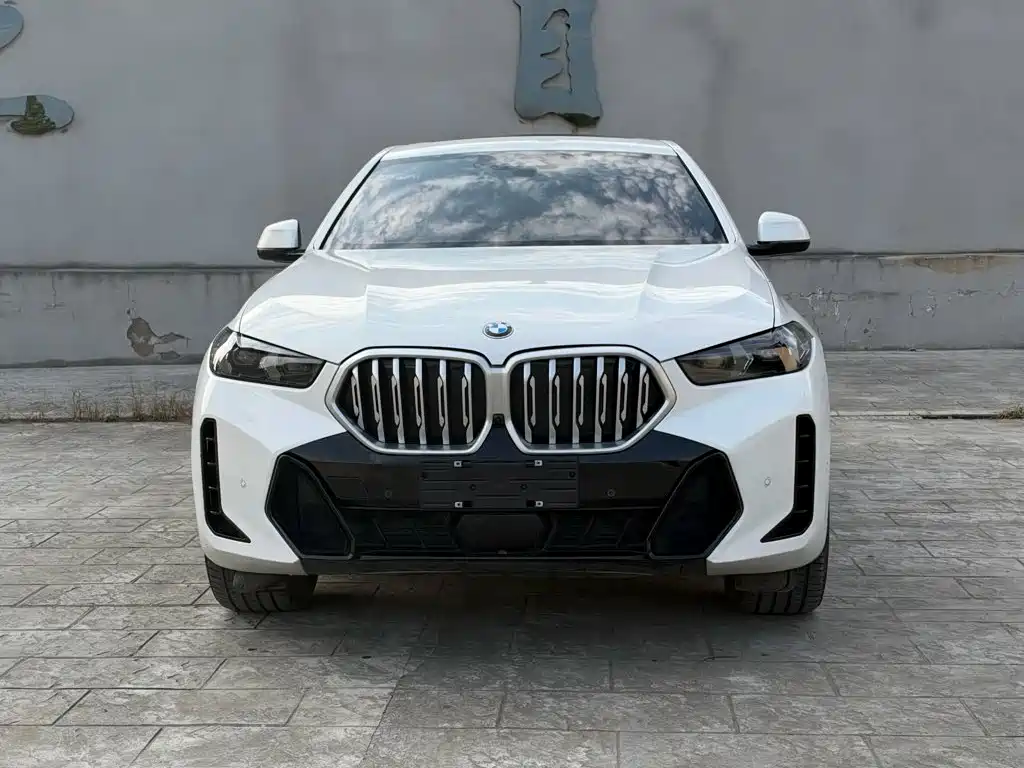 BMW X6 — фото 2