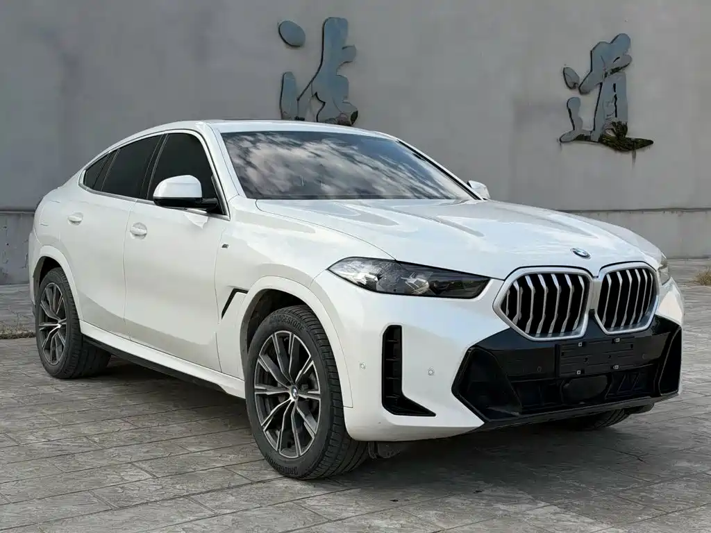 BMW X6 — фото 3
