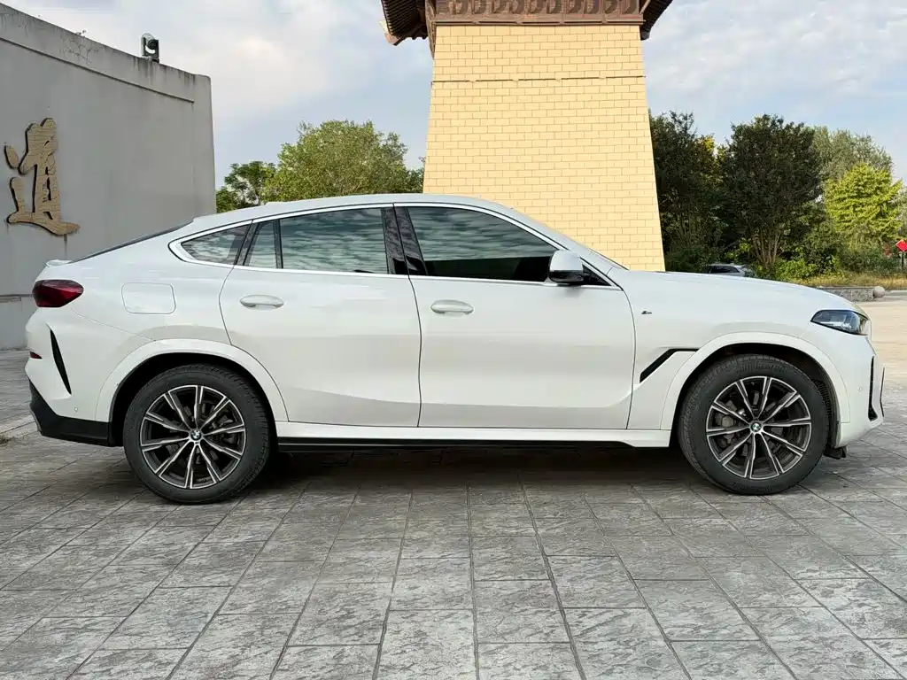 BMW X6 — фото 4