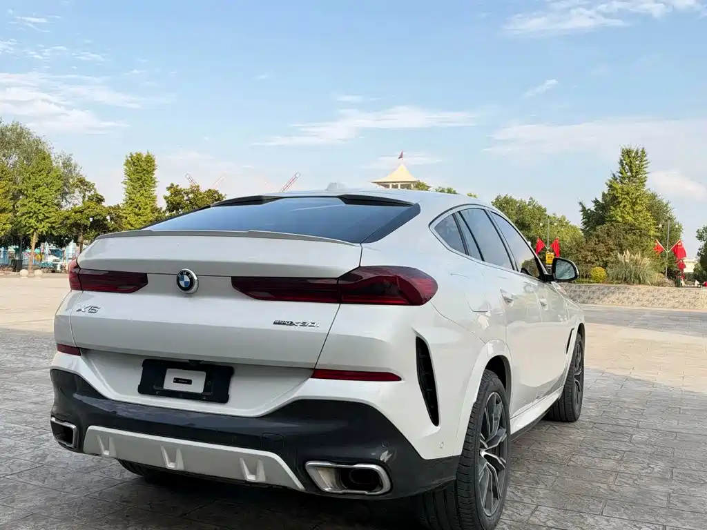BMW X6 — фото 5