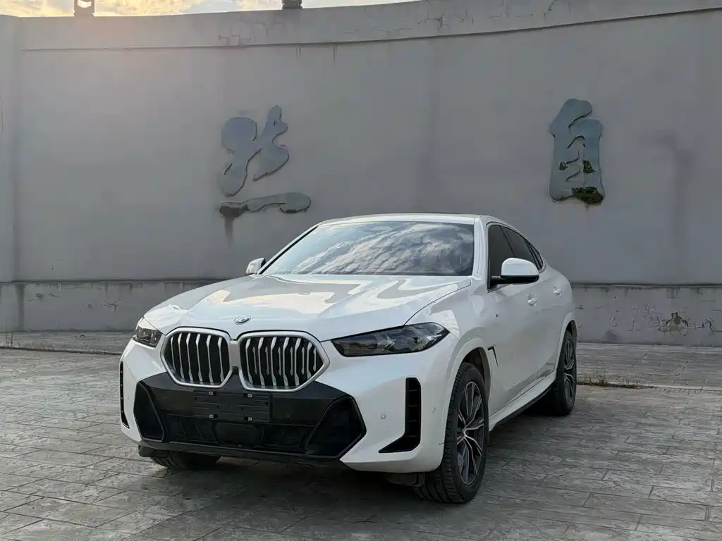 BMW X6 — фото 9