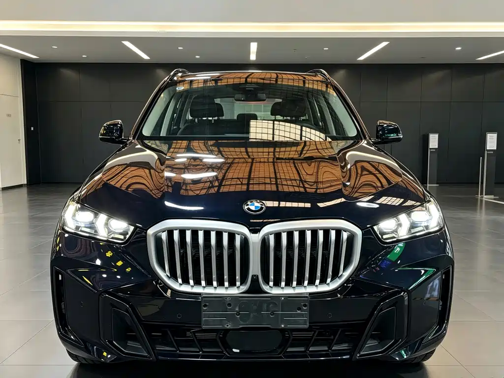 BMW X5 — фото 2
