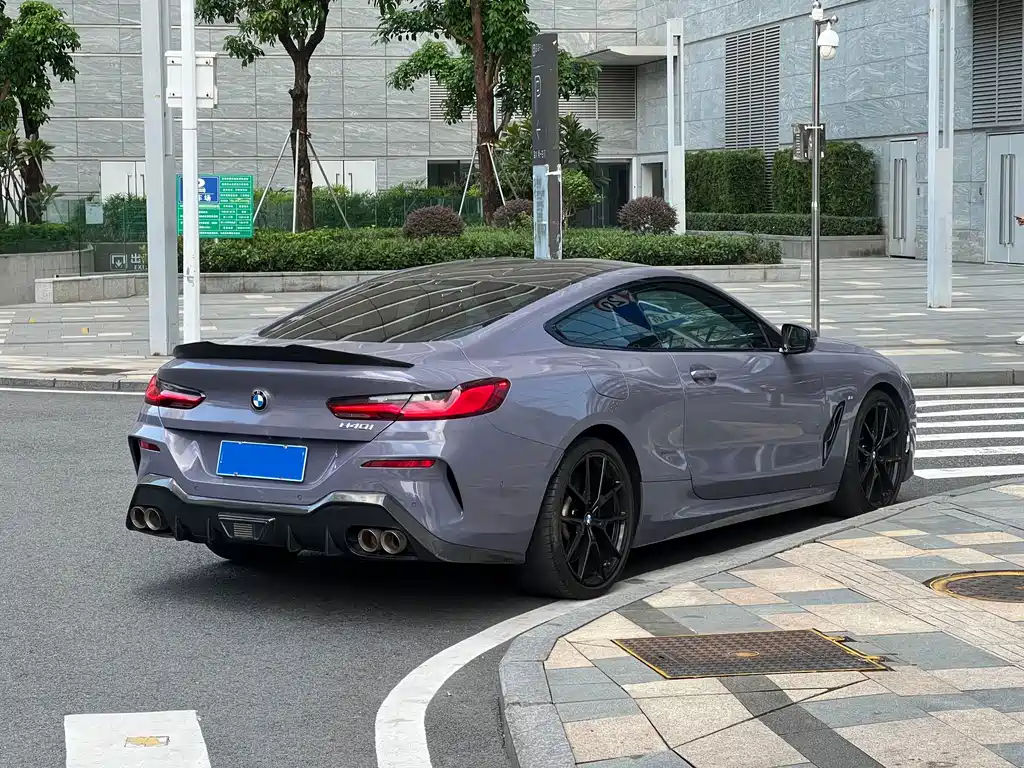 BMW 8 Series — фото 9