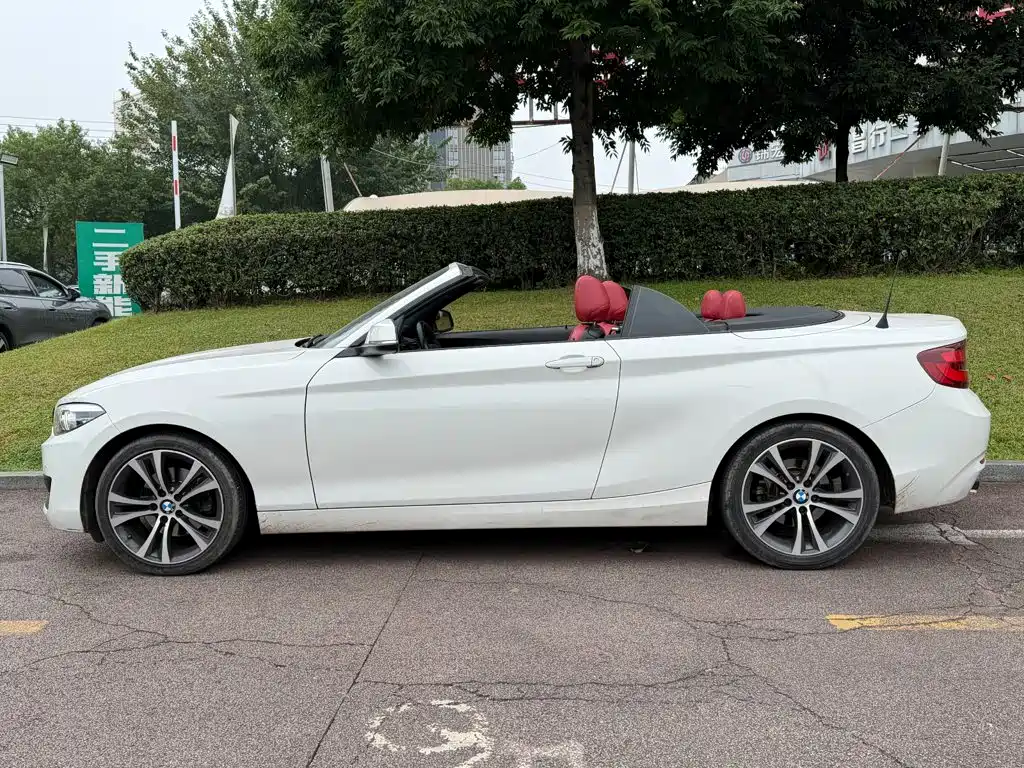 BMW 2 Series (Import) — фото 3