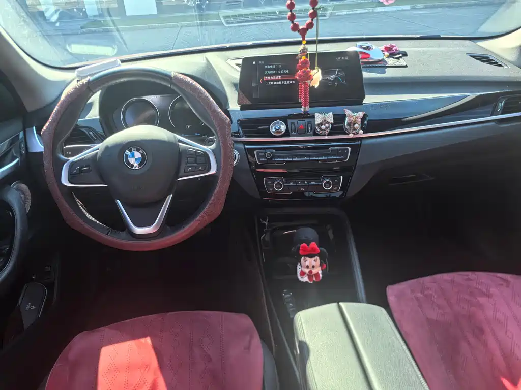 BMW X1 New Energy — фото 10