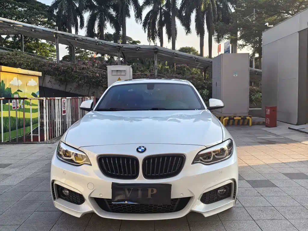 BMW 2 Series (Import) — фото 2