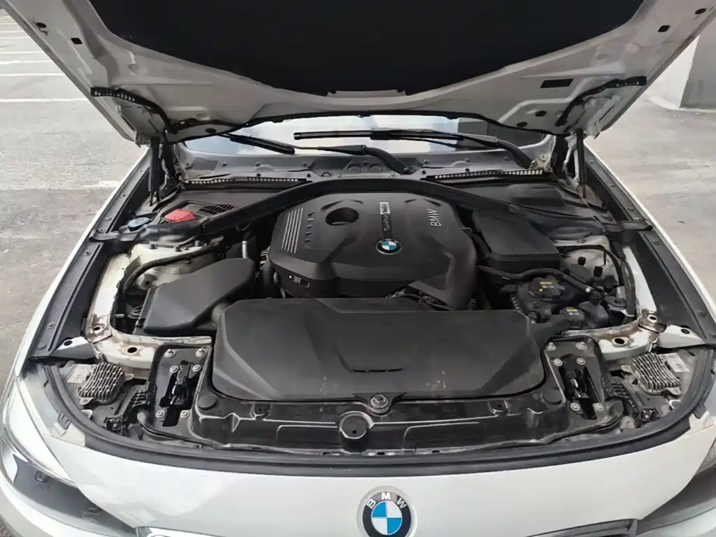 BMW 3 Series GT — фото 20