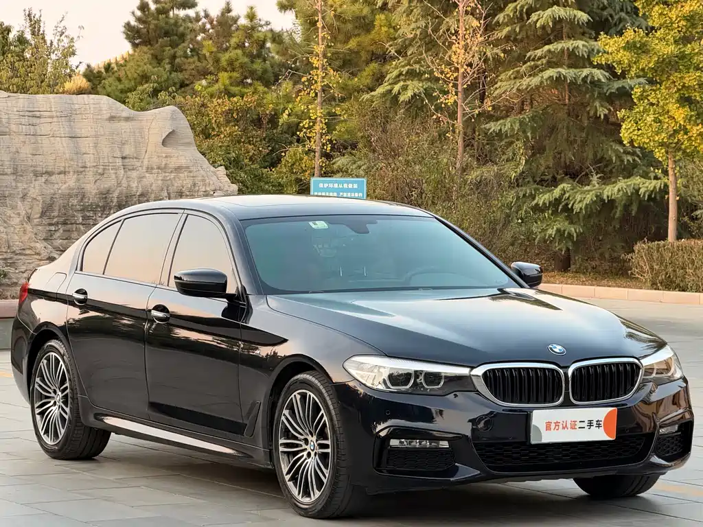 BMW 5 Series — фото 3