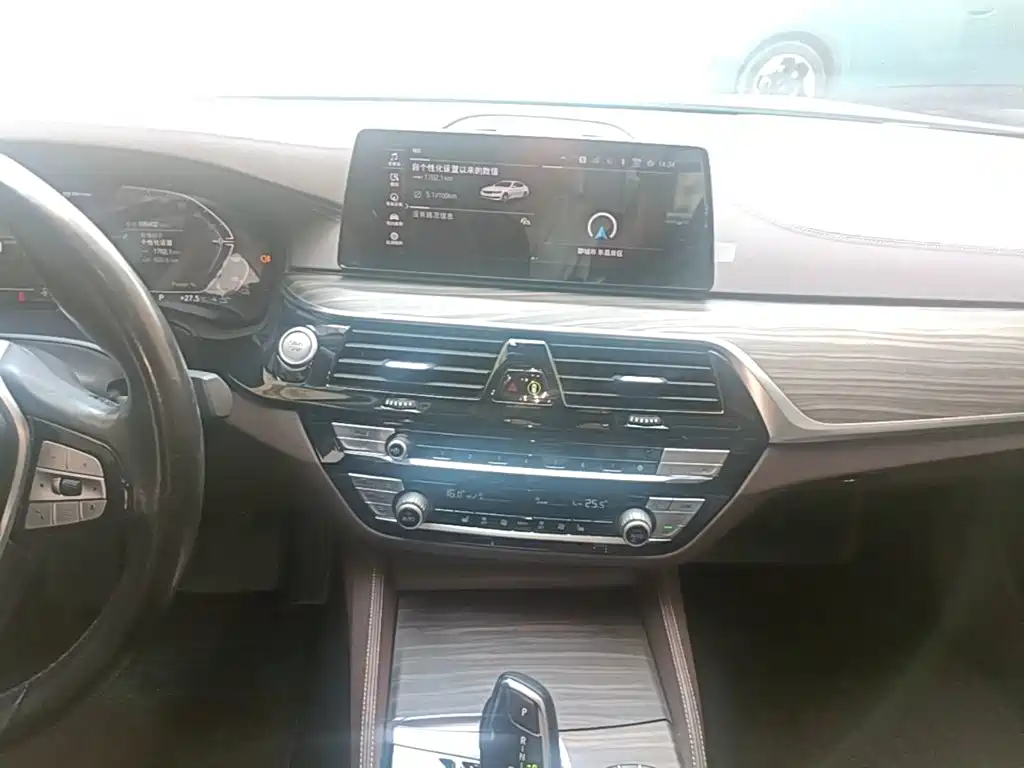 BMW 5 Series New Energy — фото 13