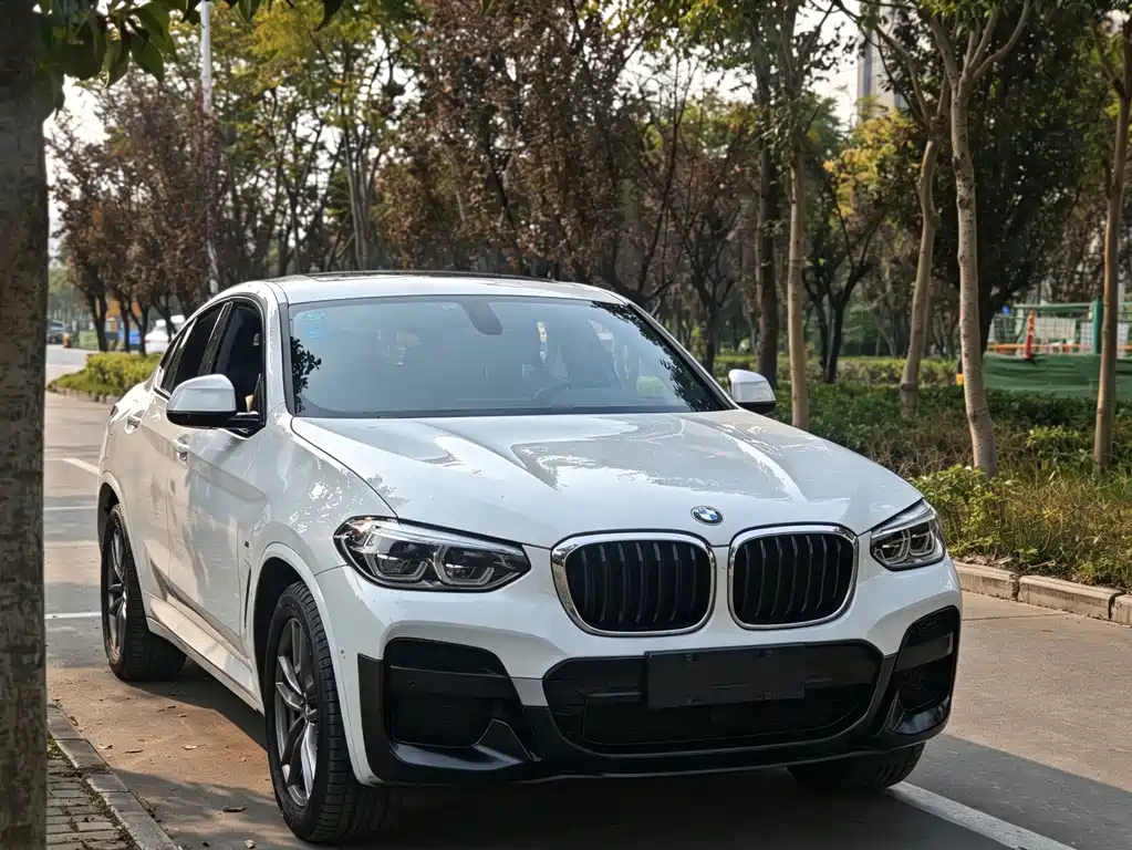 BMW X4 — фото 3