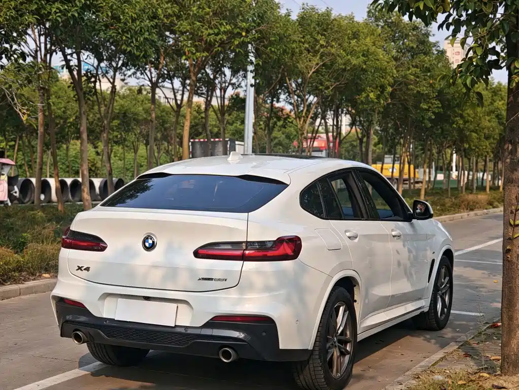 BMW X4 — фото 6