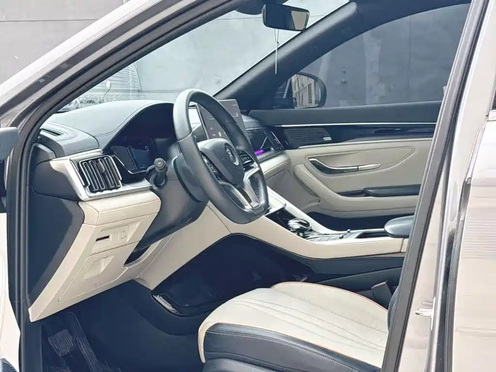 BYD PLUS New Energy — фото 4