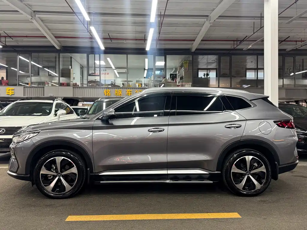 BYD PLUS New Energy — фото 4