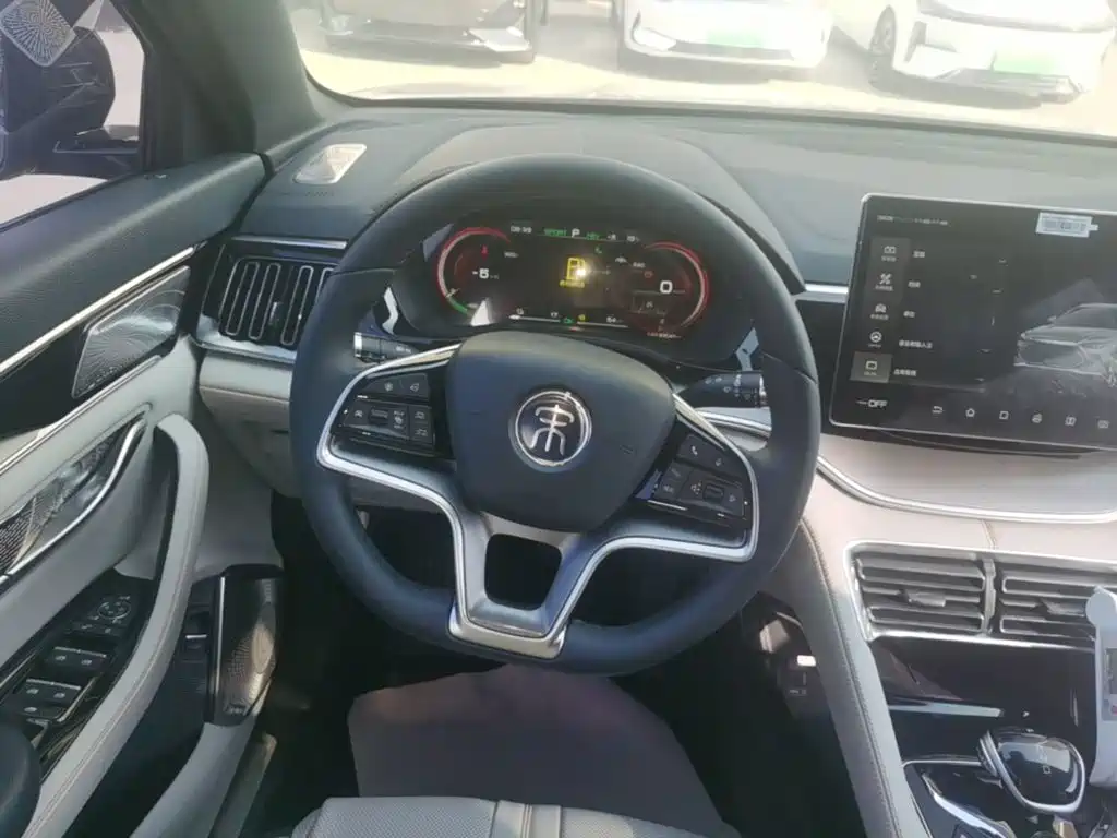 BYD PLUS New Energy — фото 11
