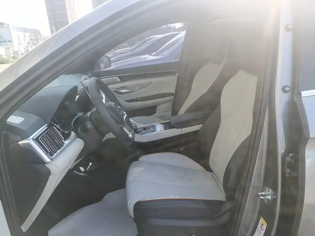 BYD PLUS New Energy — фото 15