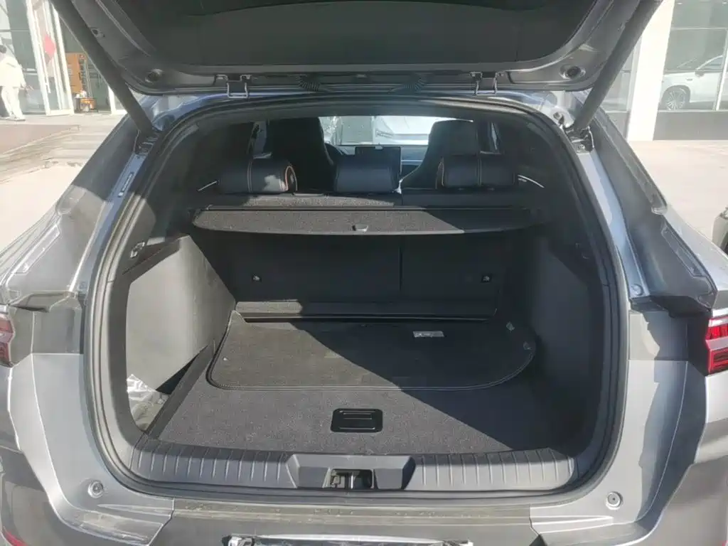 BYD PLUS New Energy — фото 19