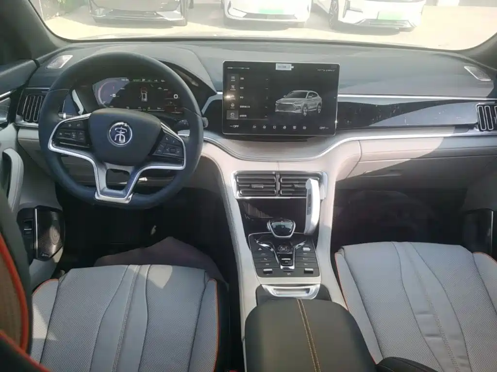 BYD PLUS New Energy — фото 10