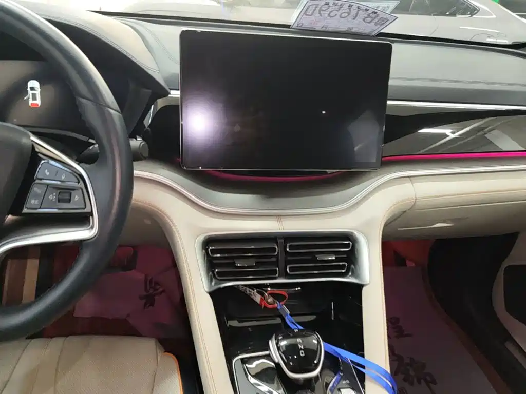 BYD PLUS New Energy — фото 13