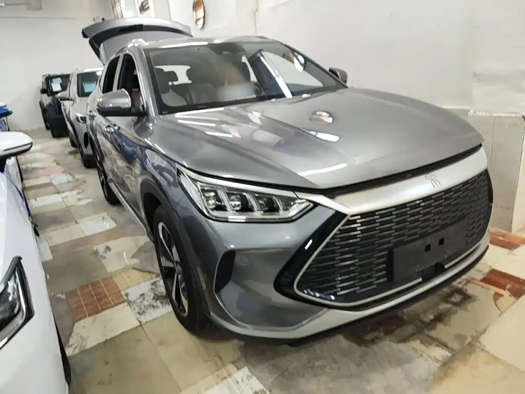 BYD PLUS New Energy — фото 4