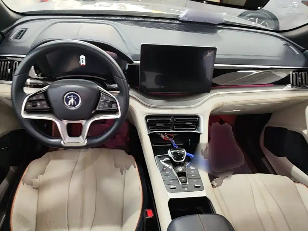 BYD PLUS New Energy — фото 10
