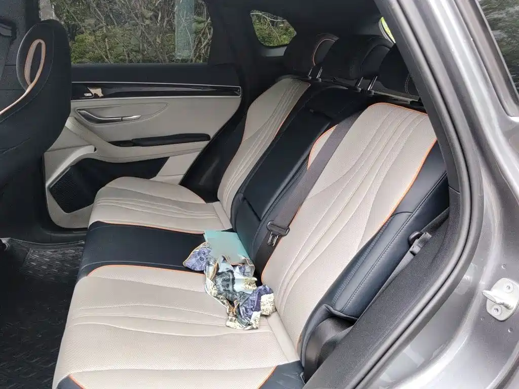 BYD PLUS New Energy — фото 15