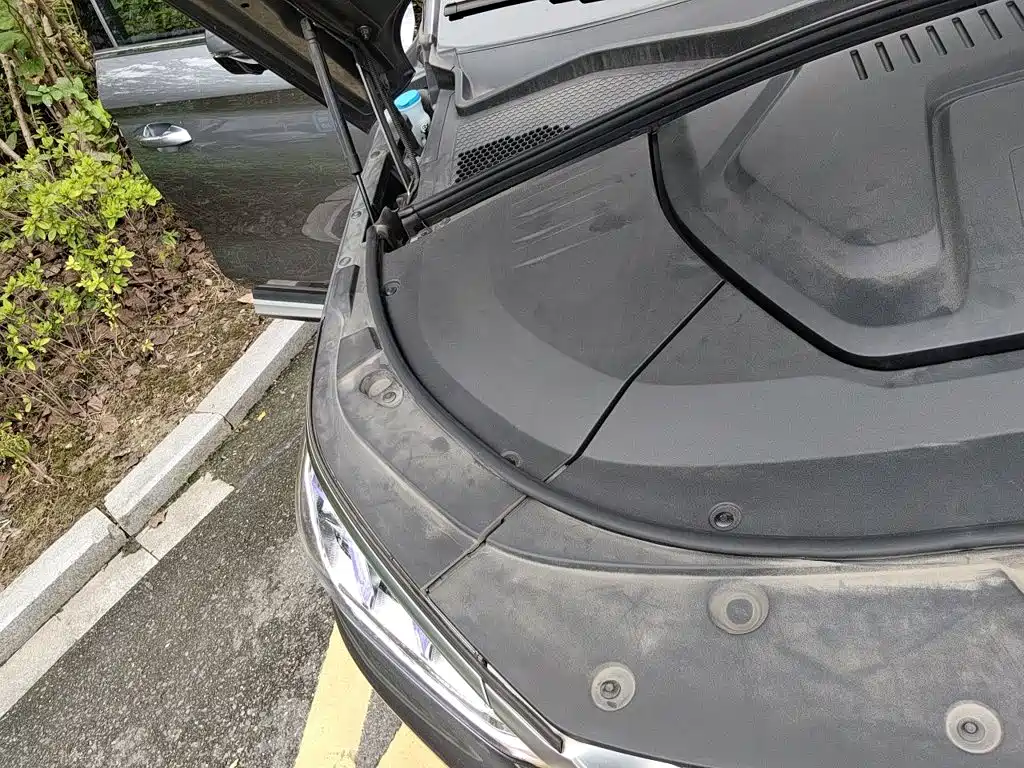 BYD PLUS New Energy — фото 20