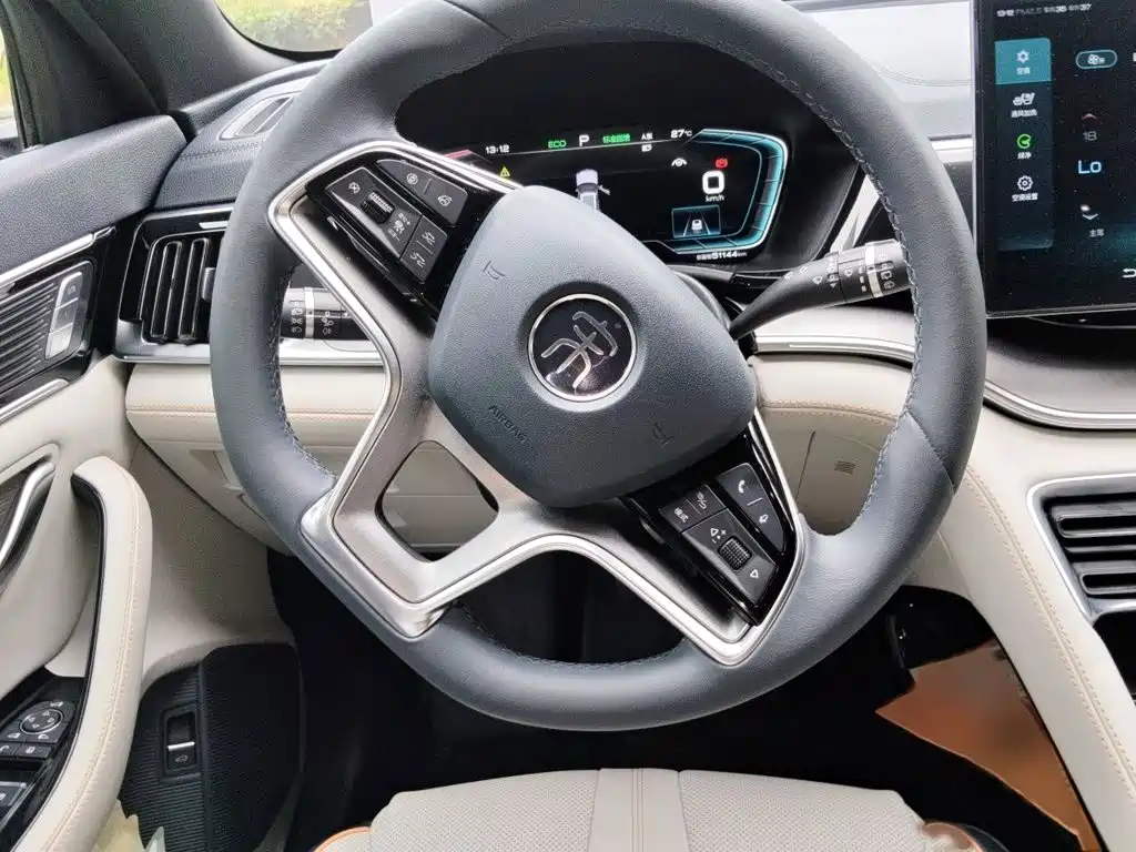BYD PLUS New Energy — фото 3