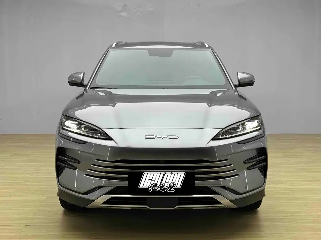 BYD PLUS New Energy — фото 2