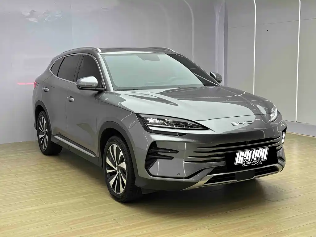 BYD PLUS New Energy — фото 3