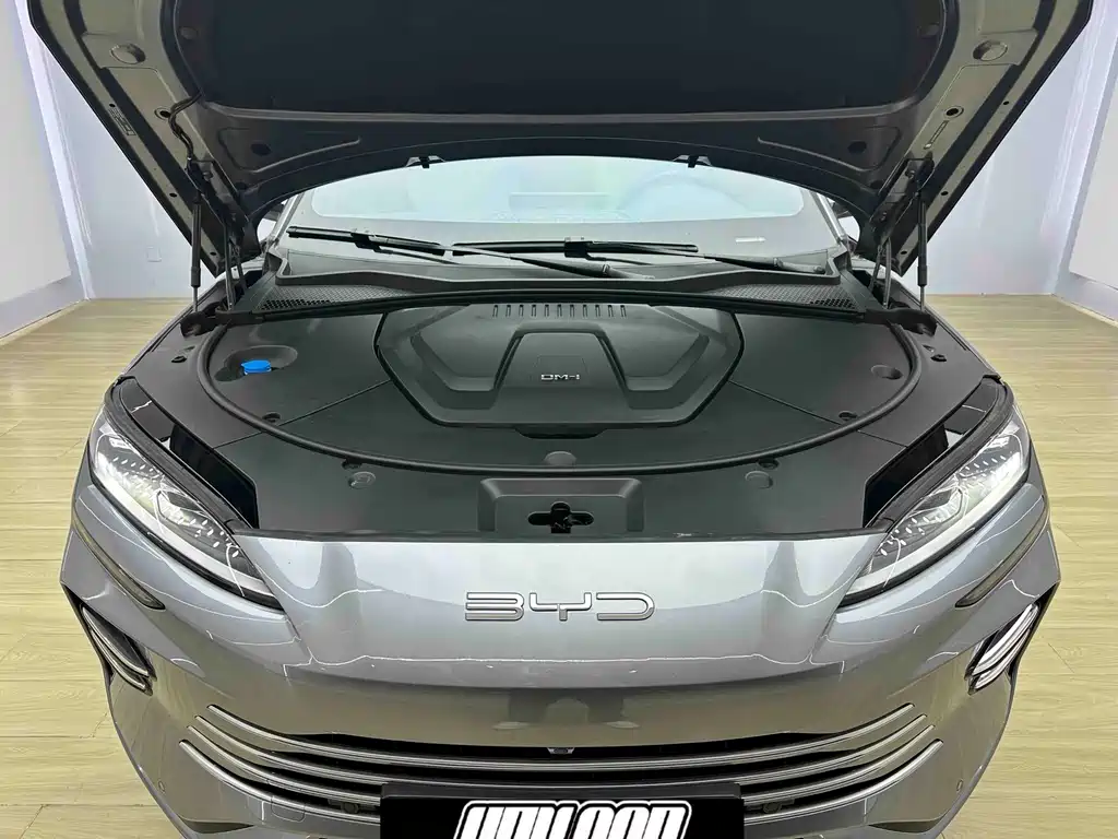BYD PLUS New Energy — фото 7