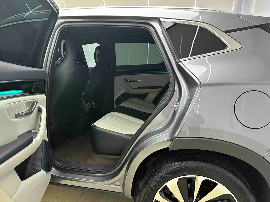 BYD PLUS New Energy — фото 10