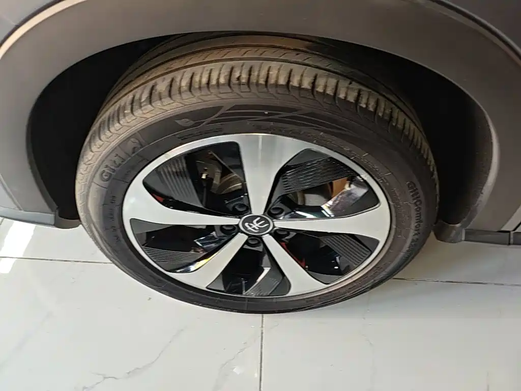 BYD PLUS New Energy — фото 23