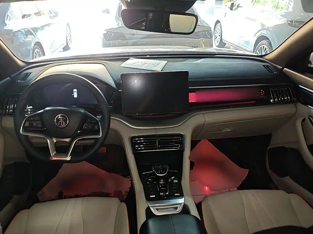 BYD PLUS New Energy — фото 10