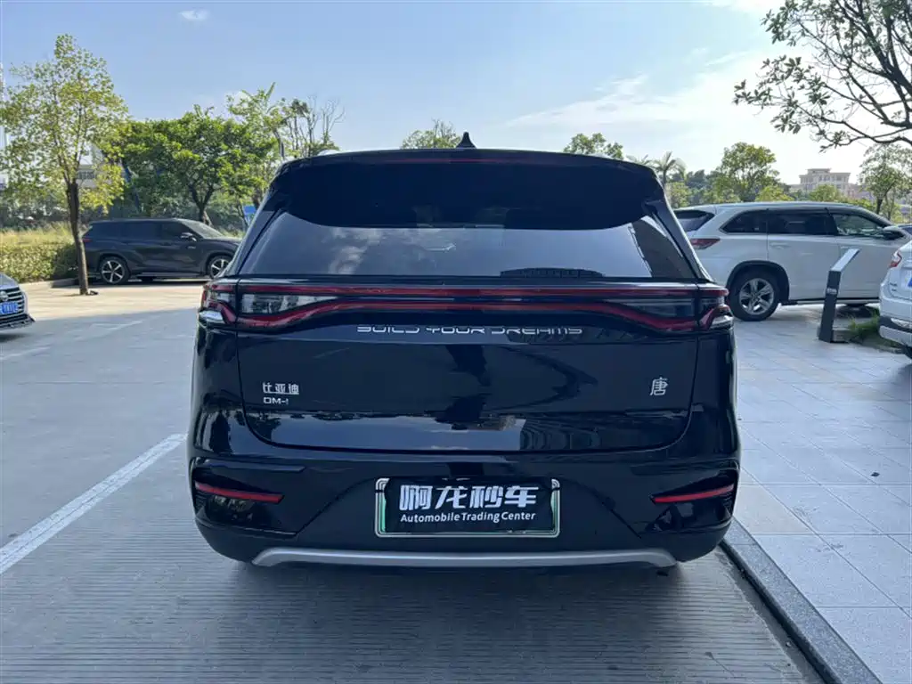 BYD Tang New Energy — фото 8