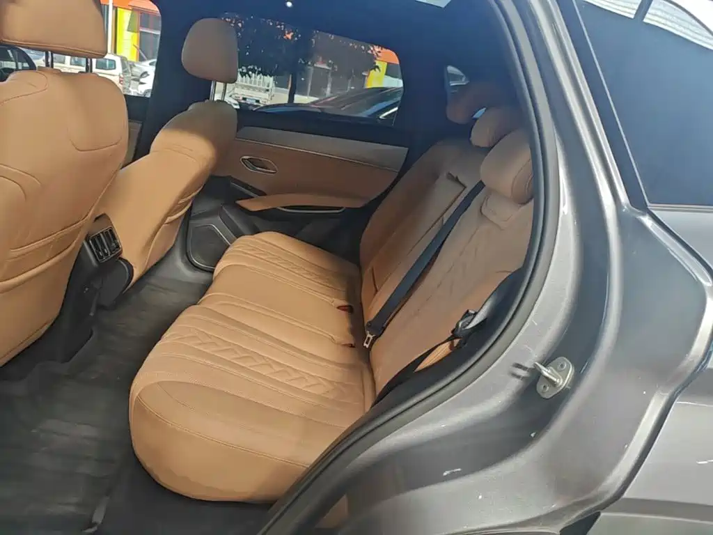 BYD L DM-i — фото 17