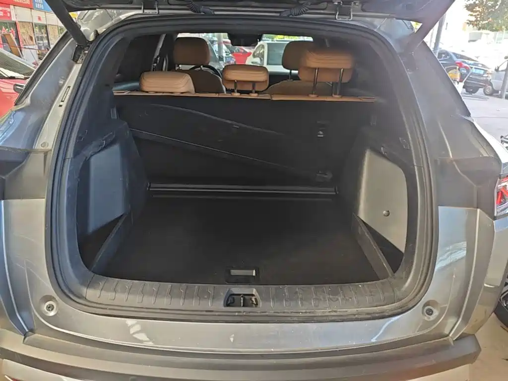 BYD L DM-i — фото 19