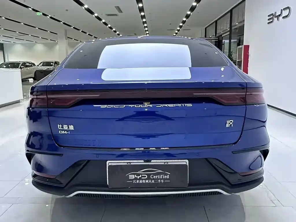 BYD Han — фото 10