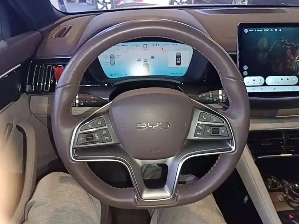BYD PLUS New Energy — фото 11