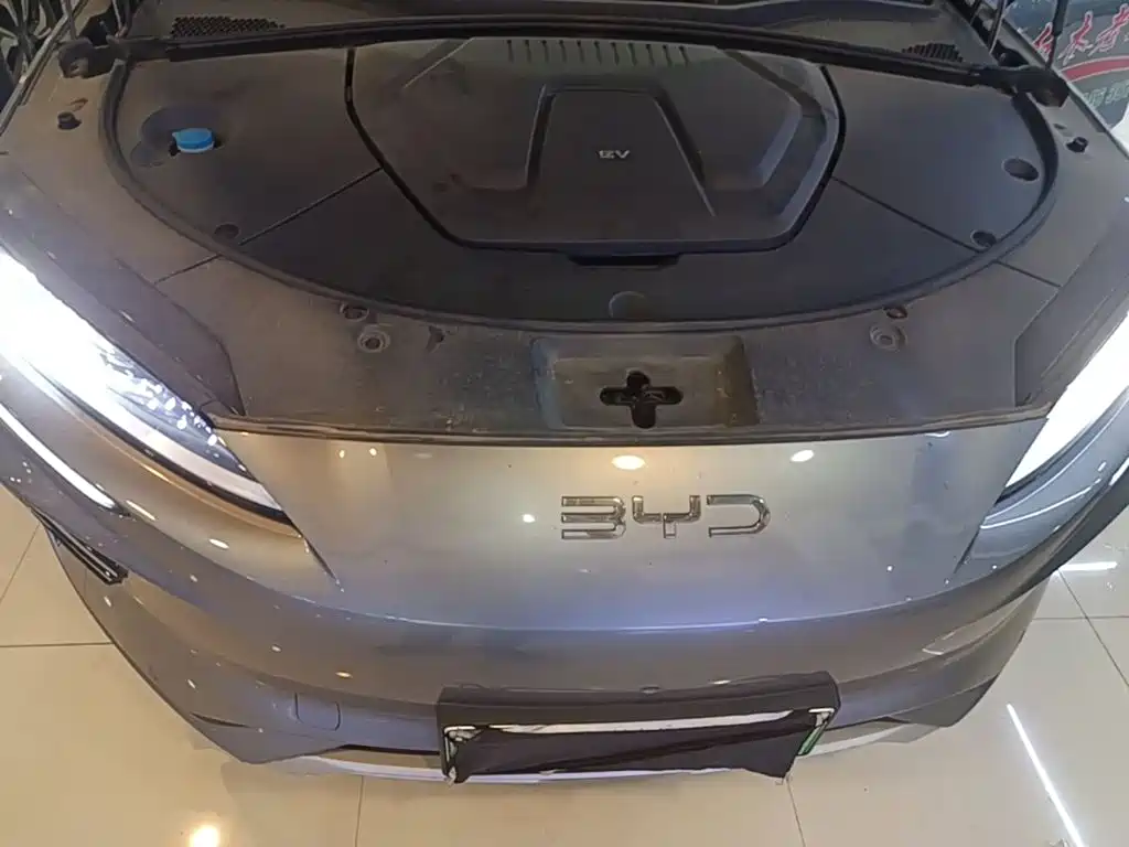 BYD PLUS New Energy — фото 20