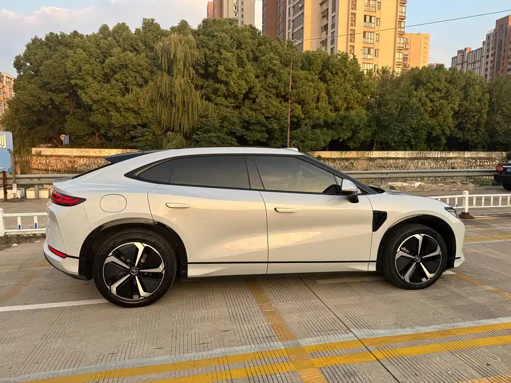 BYD L EV — фото 7