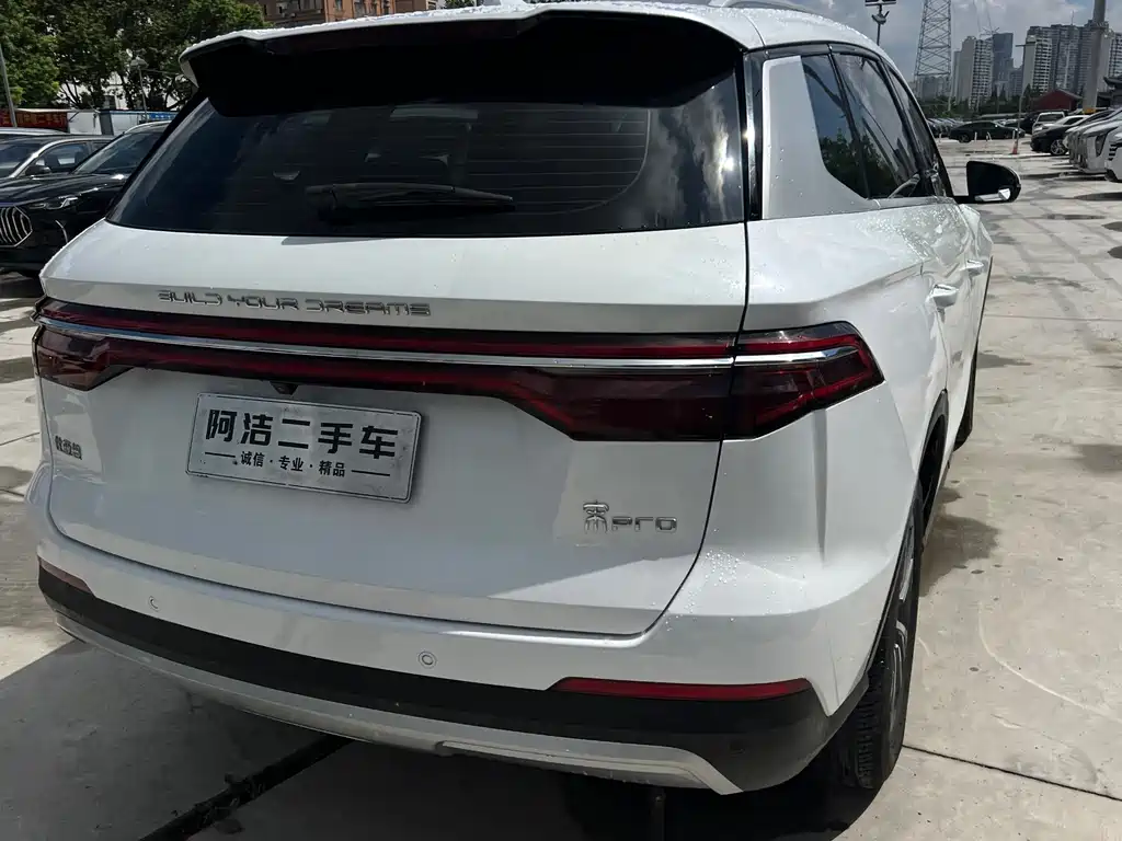 BYD Pro — фото 25